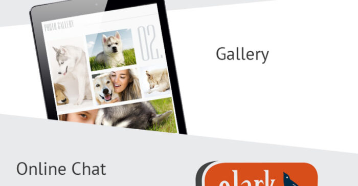 Canine Landing Page Template - Features Image 2