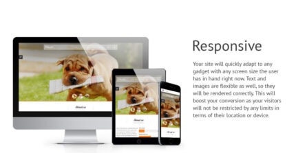 Animals  Pets Joomla Template - Features Image 1