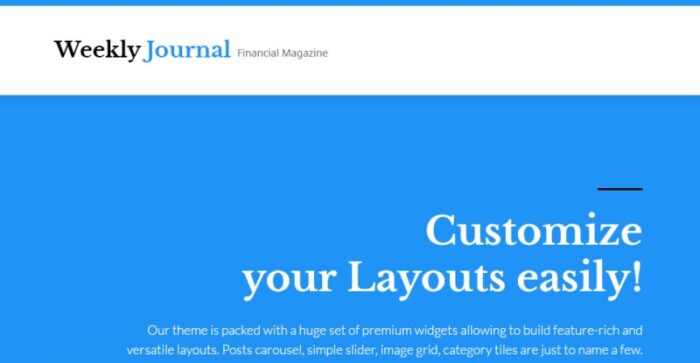 Financial News & Magazine WordPress Theme - Features Image 1