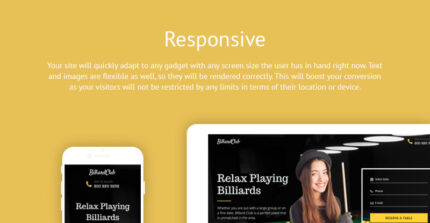 Billiards Responsive Landing Page Template - Features Image 1