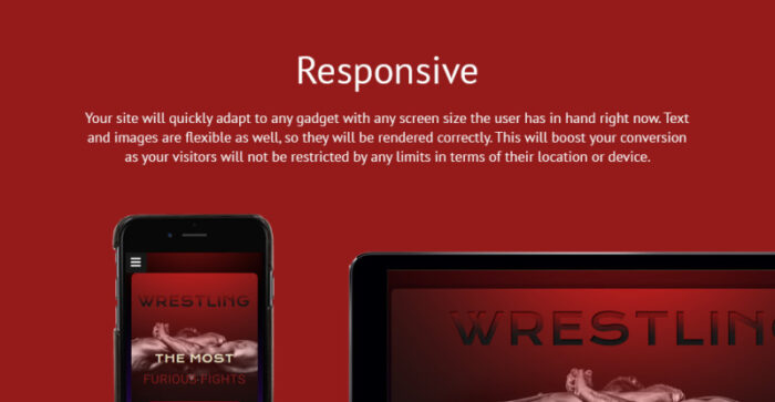 Wrestling Responsive Landing Page Template - Features Image 1