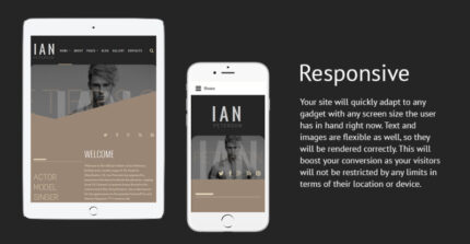 Ian Peterson Joomla Template - Features Image 1