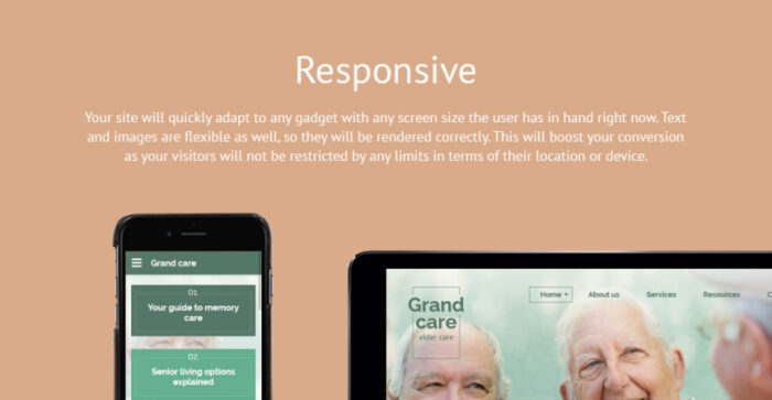 Grand Care Website Template - Features Image 1