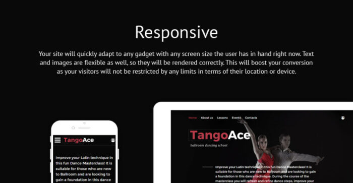 TangoAce - Dance Studio Website Template - Features Image 1