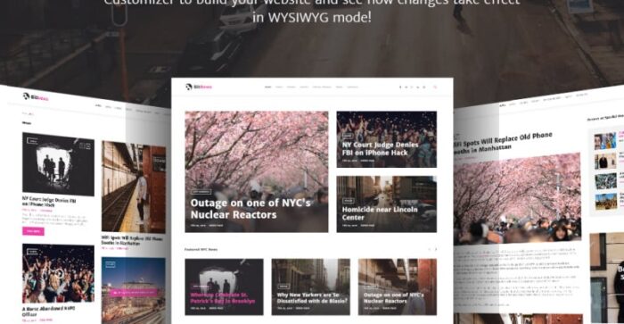 BitNews - Blog Magazine & News Portal WordPress Theme - Features Image 2