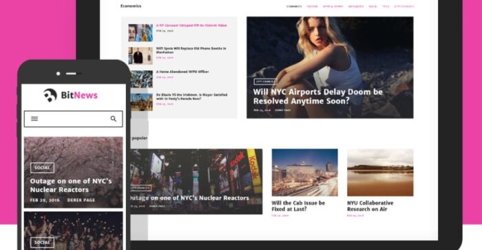 BitNews - Blog Magazine & News Portal WordPress Theme - Features Image 7