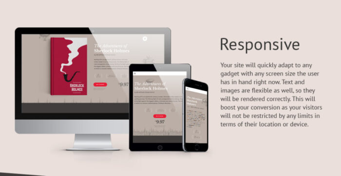 eBooks Website Template - Features Image 1