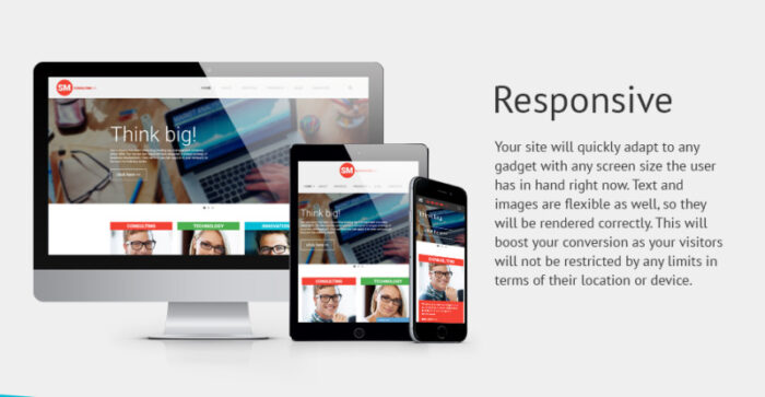 SM Consulting Co Website Template - Features Image 1