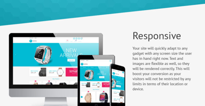 Watches Magento Theme - Features Image 2