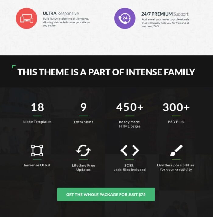 INTENSE Blog Website Template - Features Image 4