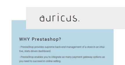 Auricus - Handbag Responsive PrestaShop Theme - Features Image 1