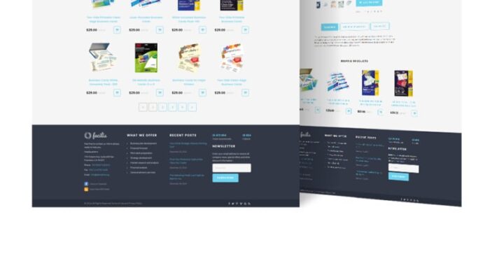 Facilis Website Template - Features Image 14