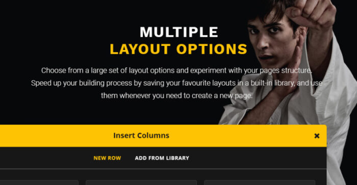 Sensei - Martial Arts WordPress Theme - Features Image 3