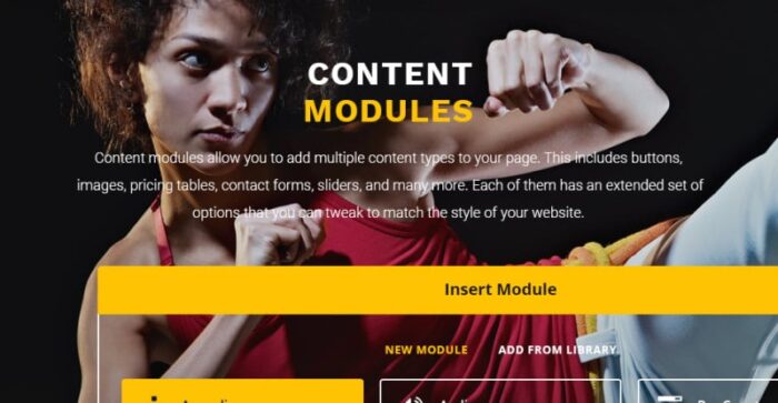 Sensei - Martial Arts WordPress Theme - Features Image 5