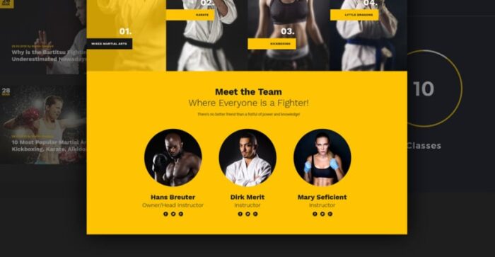 Sensei - Martial Arts WordPress Theme - Features Image 13