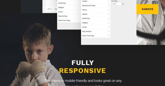 Sensei - Martial Arts WordPress Theme - Features Image 18