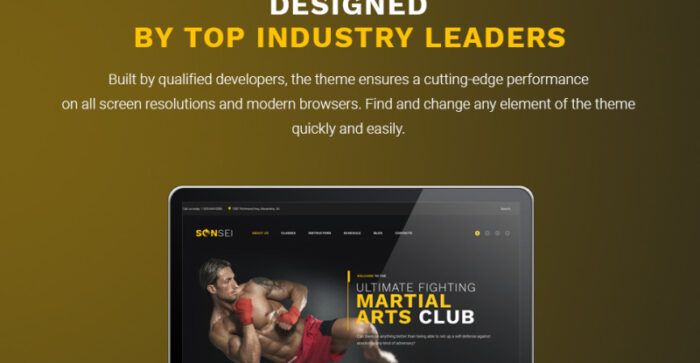 Sensei - Martial Arts WordPress Theme - Features Image 23