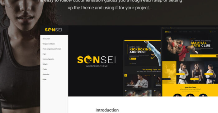 Sensei - Martial Arts WordPress Theme - Features Image 27