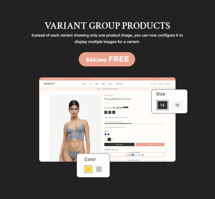 Bebrief - Lingerie & Bikini, Inner Wear Fashion Store Multipurpose Shopify 2.0 Responsive Theme - Features Image 12