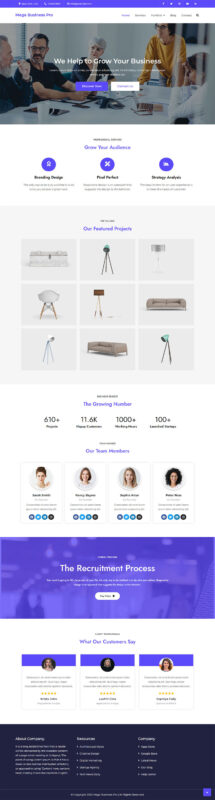 Mega Business Pro - Elementor Business Theme - Features Image 1