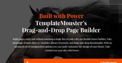 Elite Breed - Equestrian & Horse Riding Club WordPress Theme - Features Image 1