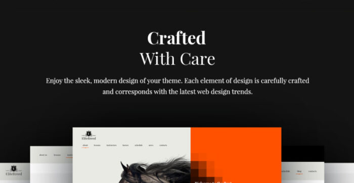 Elite Breed - Equestrian & Horse Riding Club WordPress Theme - Features Image 7