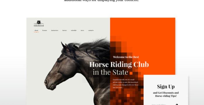 Elite Breed - Equestrian & Horse Riding Club WordPress Theme - Features Image 10