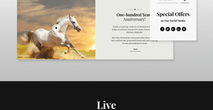 Elite Breed - Equestrian & Horse Riding Club WordPress Theme - Features Image 11