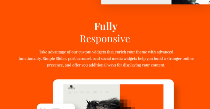 Elite Breed - Equestrian & Horse Riding Club WordPress Theme - Features Image 14