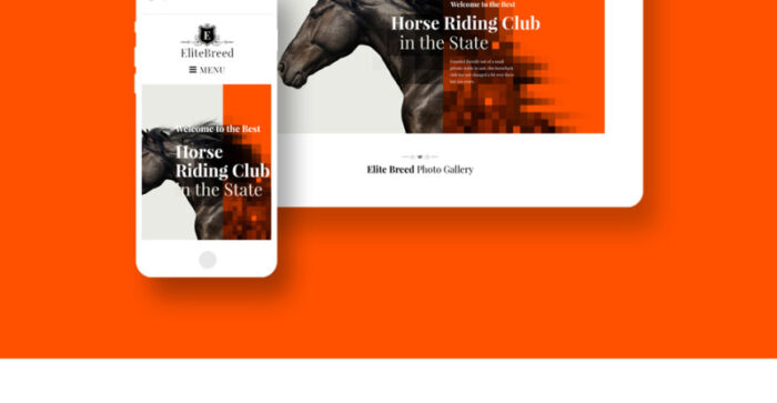 Elite Breed - Equestrian & Horse Riding Club WordPress Theme - Features Image 15