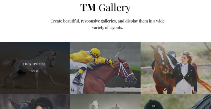 Elite Breed - Equestrian & Horse Riding Club WordPress Theme - Features Image 16