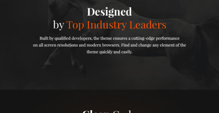 Elite Breed - Equestrian & Horse Riding Club WordPress Theme - Features Image 21