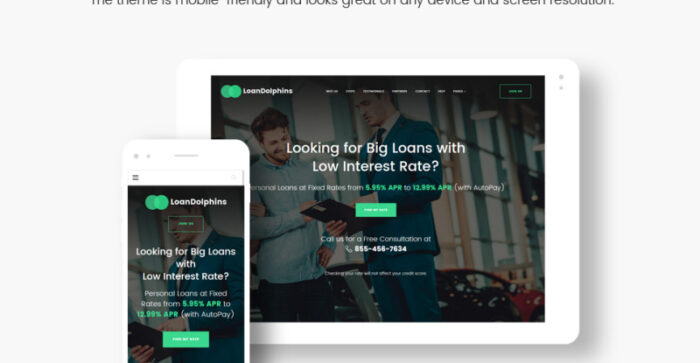 Loan Dolphins - Loan Company One Page WordPress Theme - Features Image 18