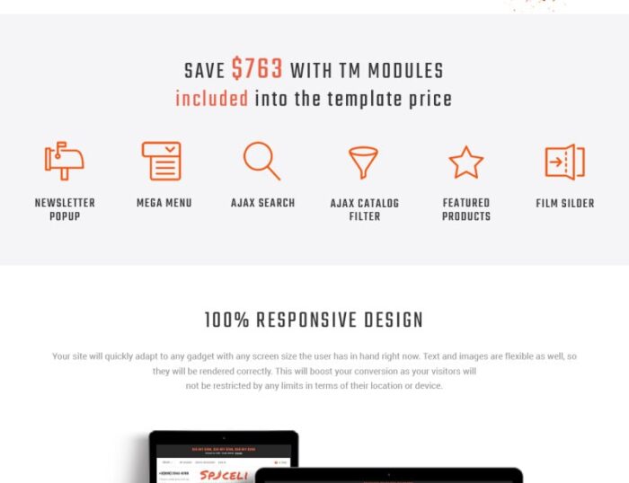 Spiceli Magento Theme - Features Image 2