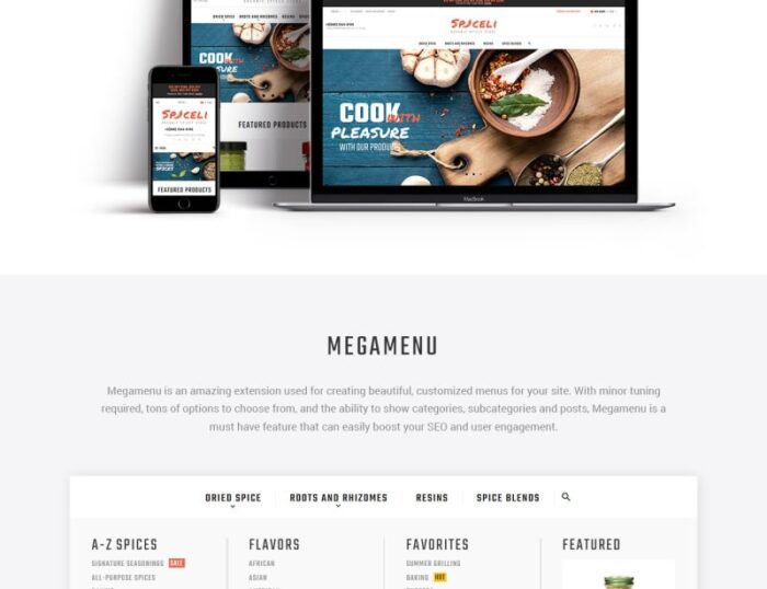 Spiceli Magento Theme - Features Image 3