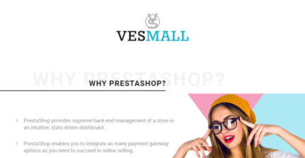 Vesmall - Wholesale store PrestaShop Theme - Features Image 1