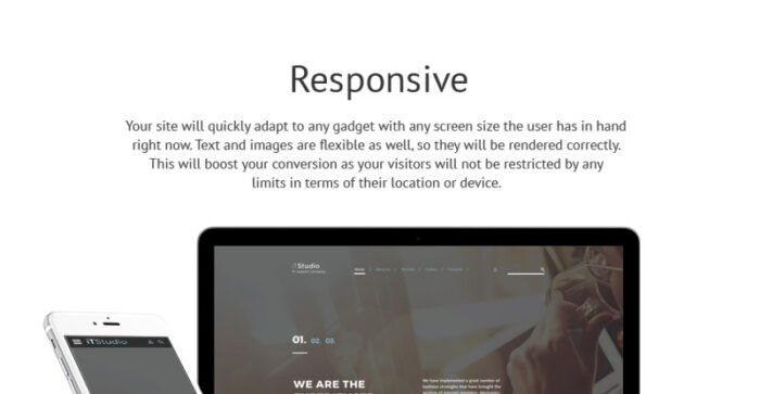 iTStudio - IT Support Company Responsive Website Template - Features Image 1