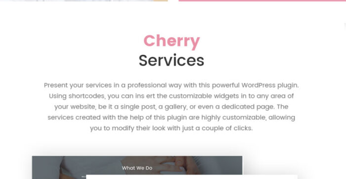 Newborn - Pregnancy Support Center WordPress Theme - Features Image 3