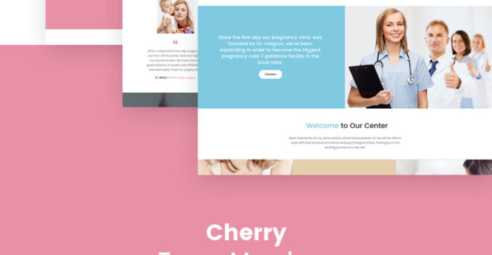 Newborn - Pregnancy Support Center WordPress Theme - Features Image 5