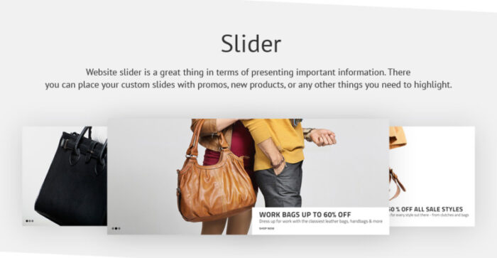 Big Bag - Handbag Store OpenCart Template - Features Image 3