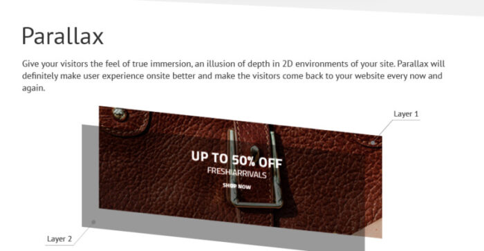 Big Bag - Handbag Store OpenCart Template - Features Image 4