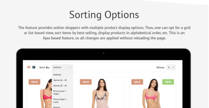 Silk & Soft - Underwear & Lingerie Online Store OpenCart Template - Features Image 7