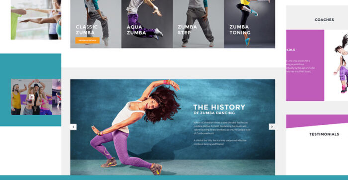 Zoomba - Zoomba Dance Studio WordPress Theme - Features Image 13