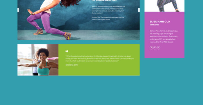 Zoomba - Zoomba Dance Studio WordPress Theme - Features Image 15