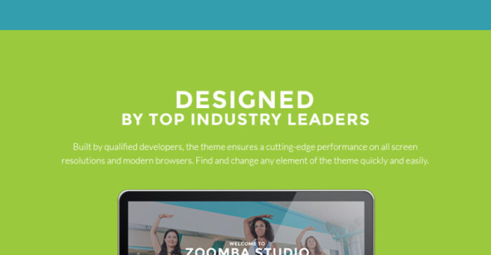 Zoomba - Zoomba Dance Studio WordPress Theme - Features Image 23