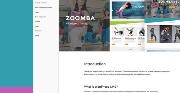 Zoomba - Zoomba Dance Studio WordPress Theme - Features Image 28