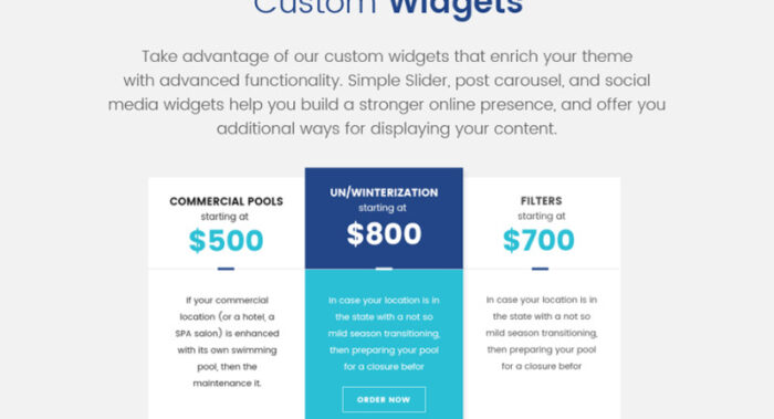 Dream Pool - Pool Cleaning & Pool Repair WordPress Theme - Features Image 11