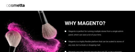 Cosmetta - Cosmetics Store Magento Theme - Features Image 1