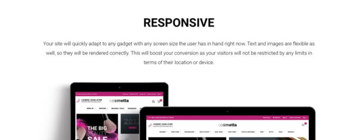 Cosmetta - Cosmetics Store Magento Theme - Features Image 4