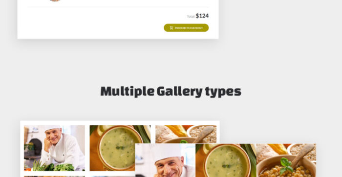 Vegan Food - Vegetarian Restaurant Responsive Website Template - Features Image 9